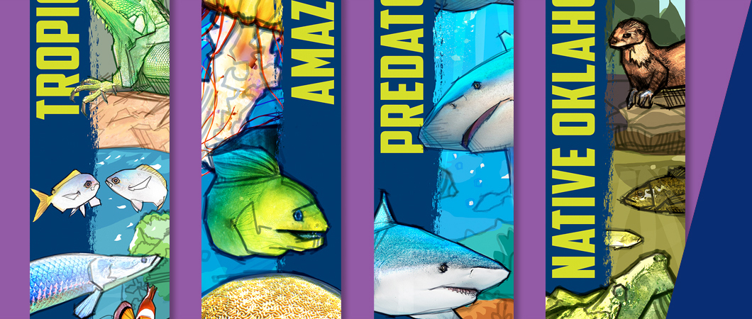 OK Aquarium
