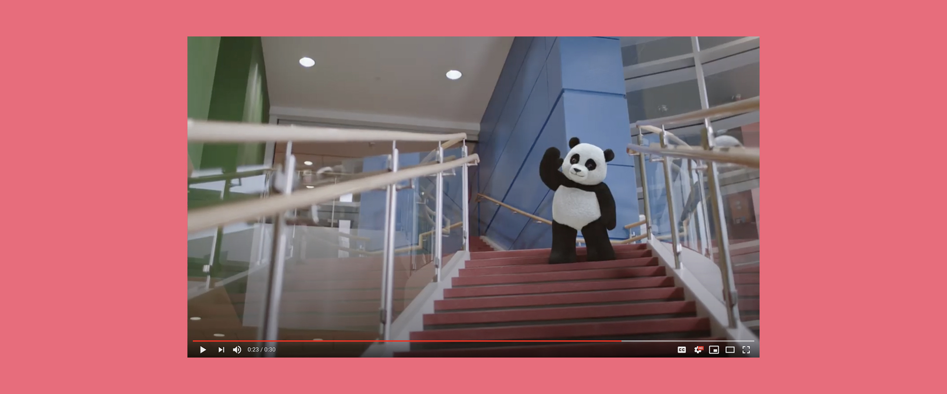 Saint Francis PJ Panda TV Spot